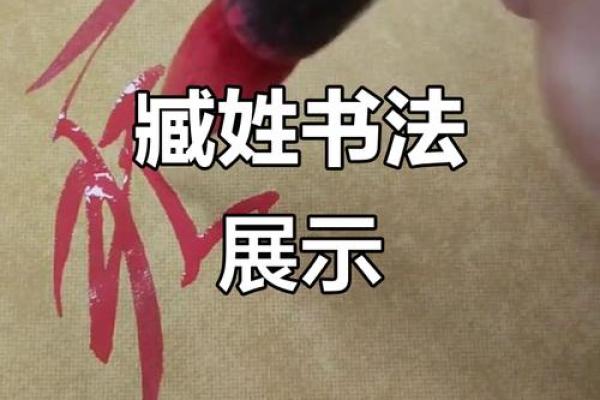 臧姓女孩名字大全-臧姓女孩起名字大全-臧姓名字大全姓名