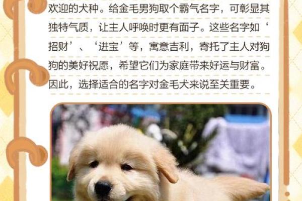 上午出生的属狗男孩如何取名，适合什么字姓名