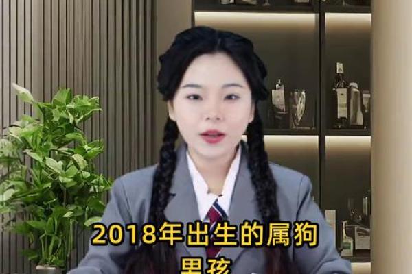 上午出生的属狗男孩如何取名，适合什么字姓名