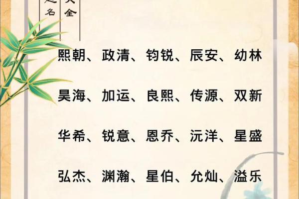 2019年4月9号丑时出生的男孩如何起名姓名