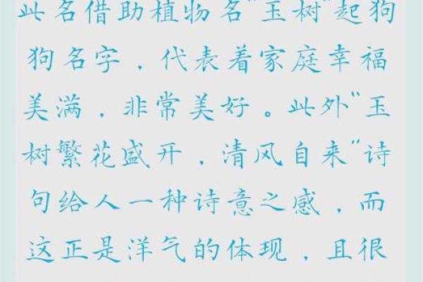 晚上八点出生的属狗男孩如何取名，宜用什么字姓名