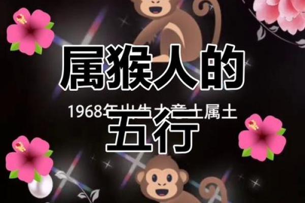 晚上出生的属猴男孩起什么，应用什么字姓名