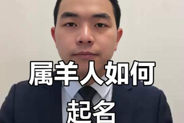 晚上1点出生的属羊男孩如何起名，宜用什么字姓名