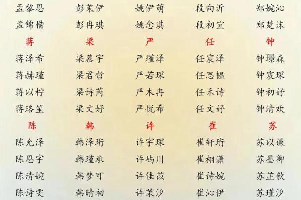 2019年6月27号丑时出生的男孩起名方法姓名