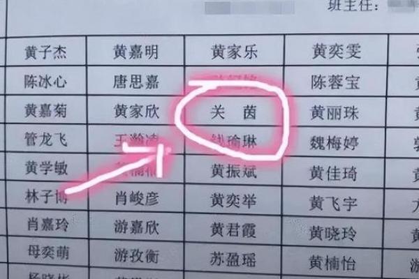 2019年5月17号卯时出生的男孩应该起什么样的名字姓名