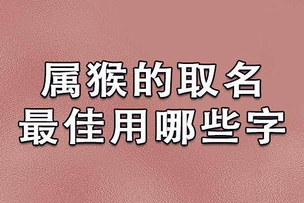 傍晚6点出生的属猴男孩如何起名，宜用什么字姓名
