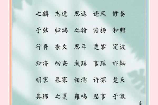 2019年6月20号子时出生的男孩起名时要注意什么姓名 2019年6月20号子时出生的男孩起名时要注意什么姓名