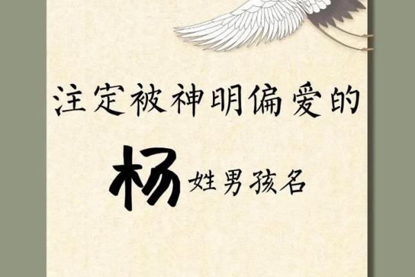 姓杨的名人-名人大全-姓名学-华易算命网姓名 姓杨的名人-名人大全-姓名学-华易算命网姓名