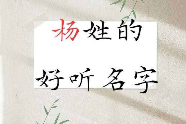 姓杨的名人-名人大全-姓名学-华易算命网姓名 姓杨的名人-名人大全-姓名学-华易算命网姓名