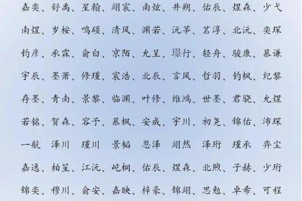 2019年3月25号酉时出生的男孩起名方法姓名 2019年3月25号酉时出生的男孩起名方法姓名