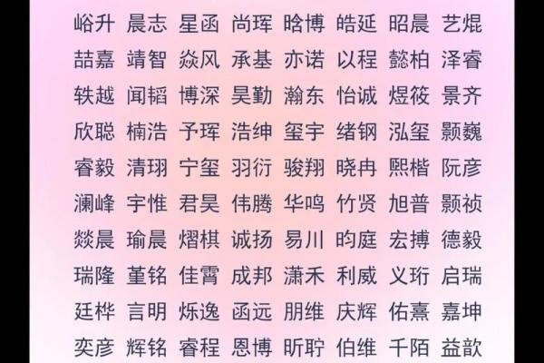 2019年5月1号子时出生的男孩应该起什么样的名字姓名
